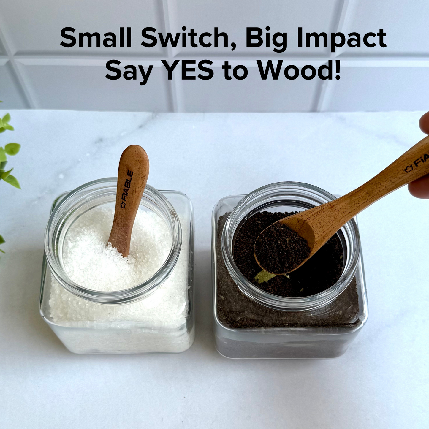 Fiable Neem Wood Masala Spoon set of 8 - 4small and 4 medium